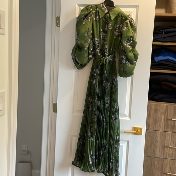 By Timo pleated Dress. Size Large. Brand new. Green Roses - Picture 2 of 9